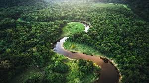 Brezilya'da Amazon Ormanları İçin Yeni Koruma Planı